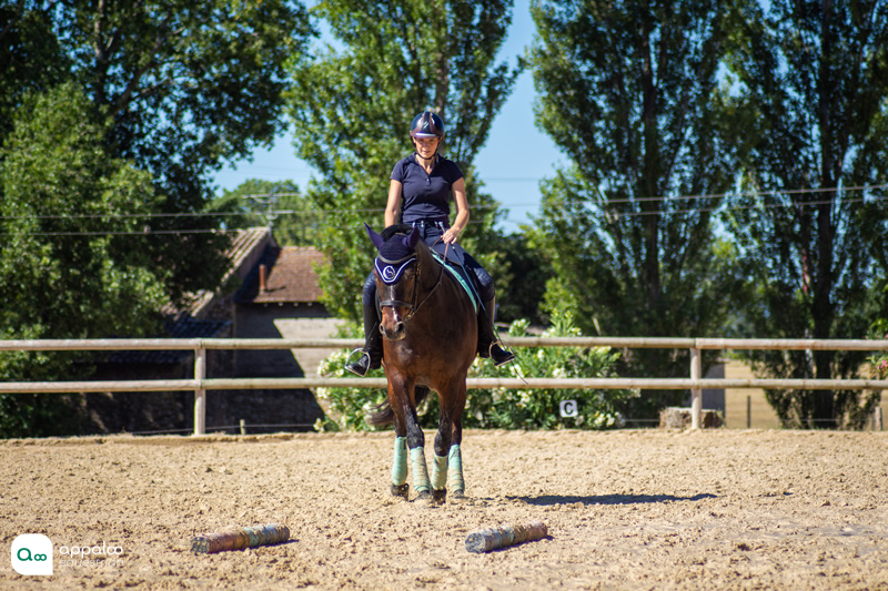 Réaliser des exercices de dressage avec son cheval