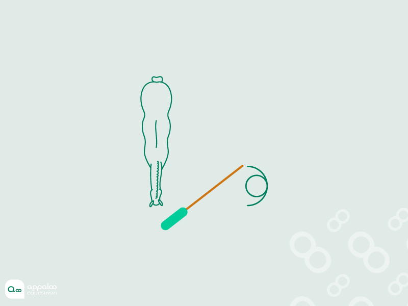 Cible schéma clicker